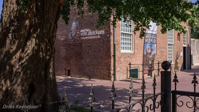 Het Marius van dokkum museum Harderwijk