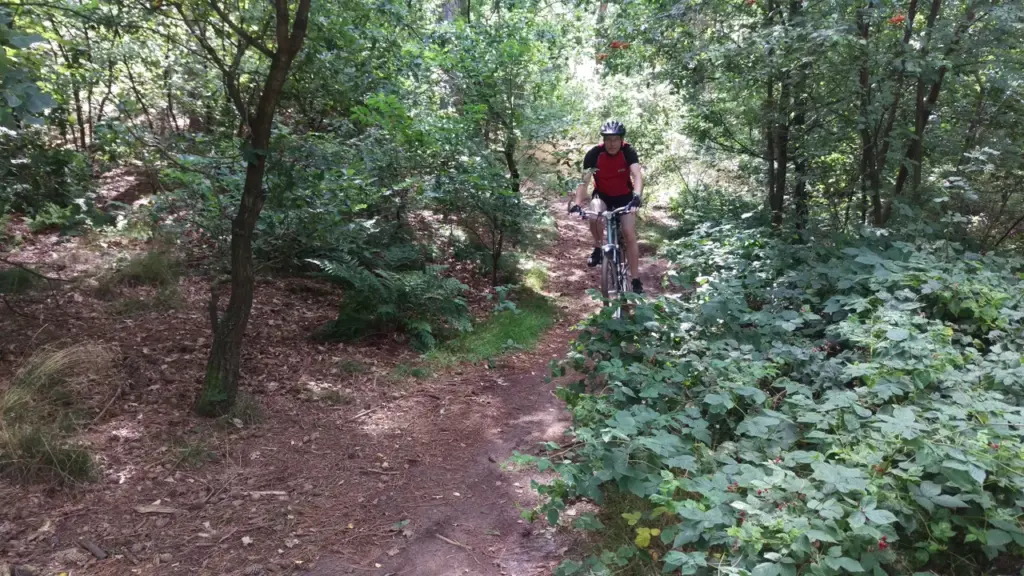 Mountainbiken harderwijk bos