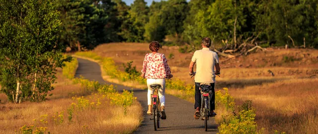 Panorama foto fietsers door bep annie