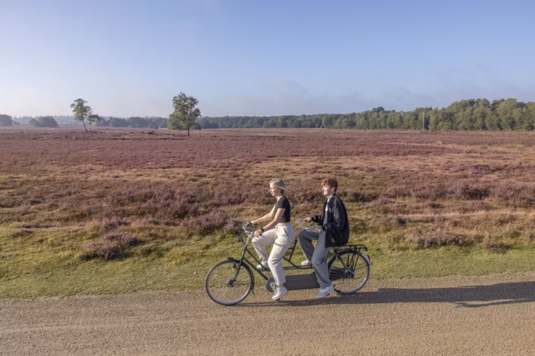Galerij tandems afbeelding